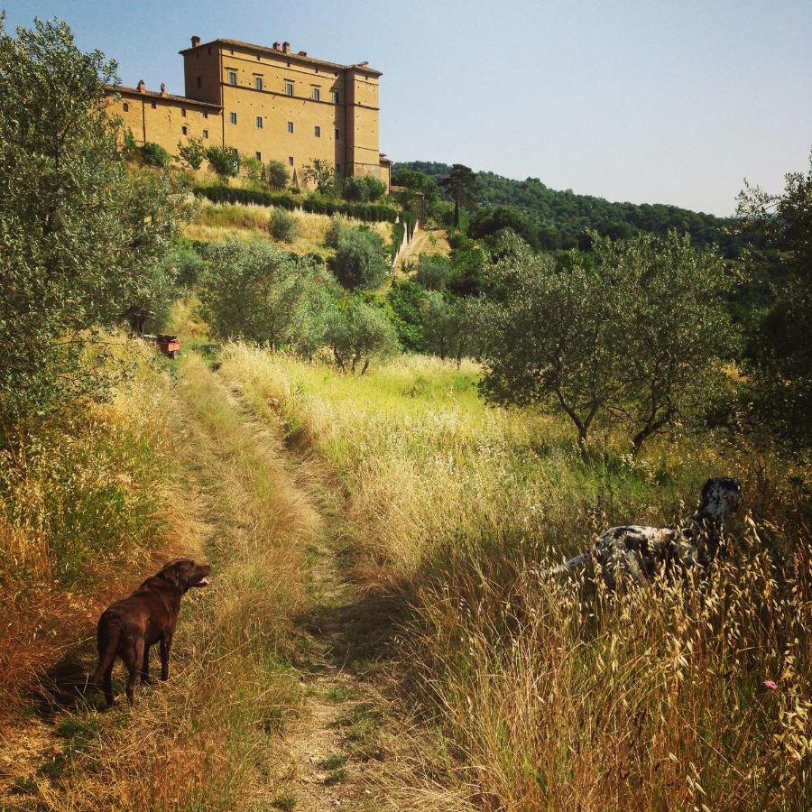 Castello Di Potentino Седжано Экстерьер фото